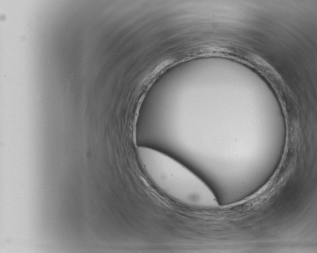 X0000066520785200603170949