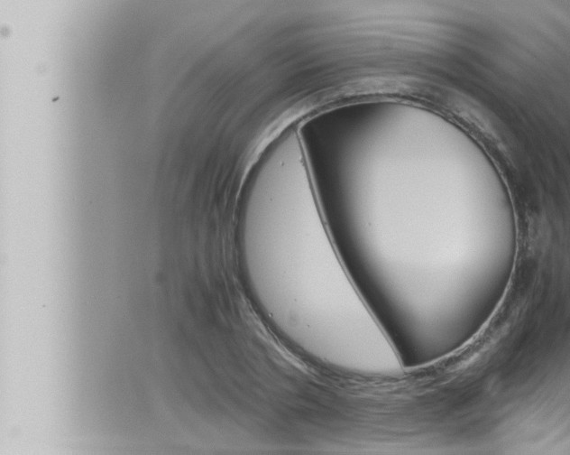 X0000066520786200603170949