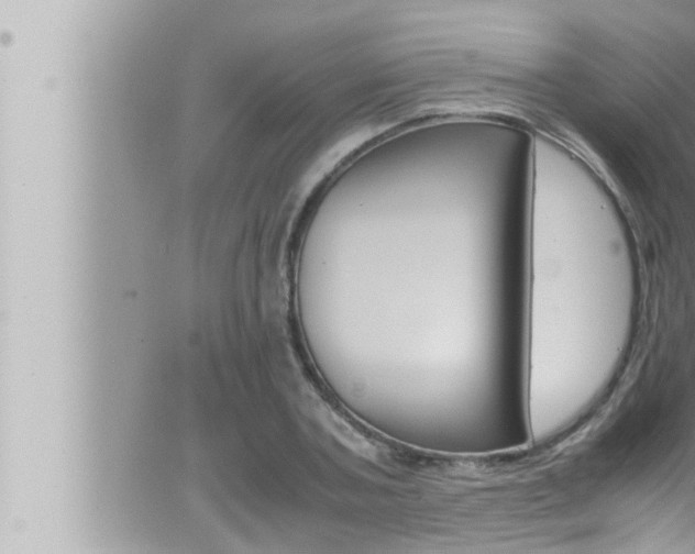 X0000066520787200603170949