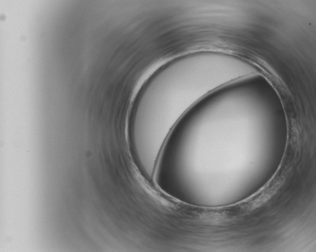 X0000066520788200603170949