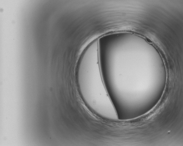 X0000066520789200603170949