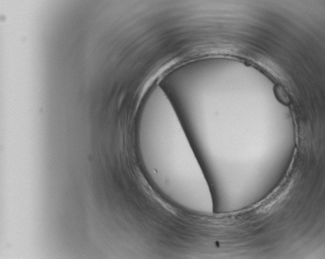 X0000066520790200603170949