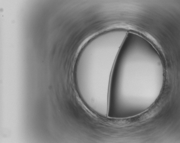 X0000066520791200603170949