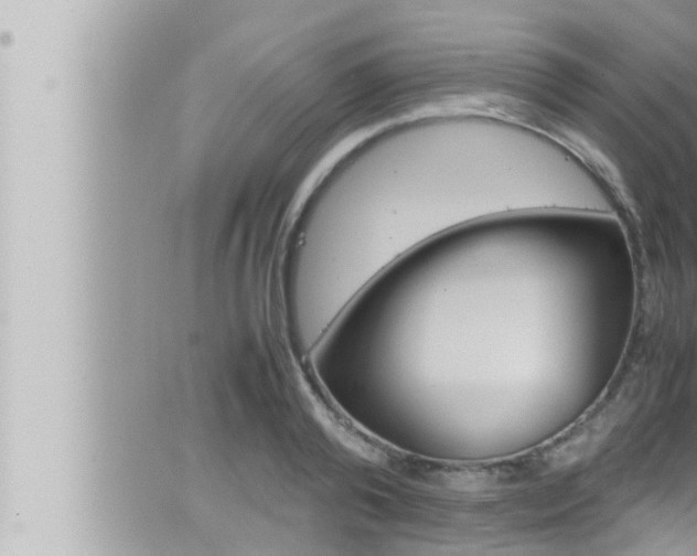 X0000066520792200603170949