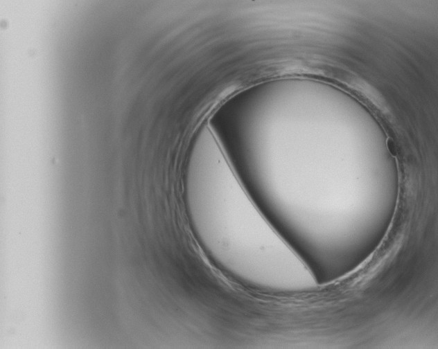 X0000066520793200603170949