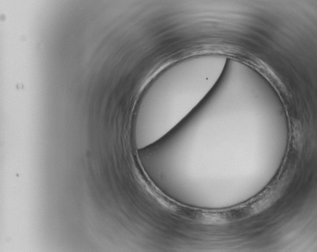 X0000066520794200603170949