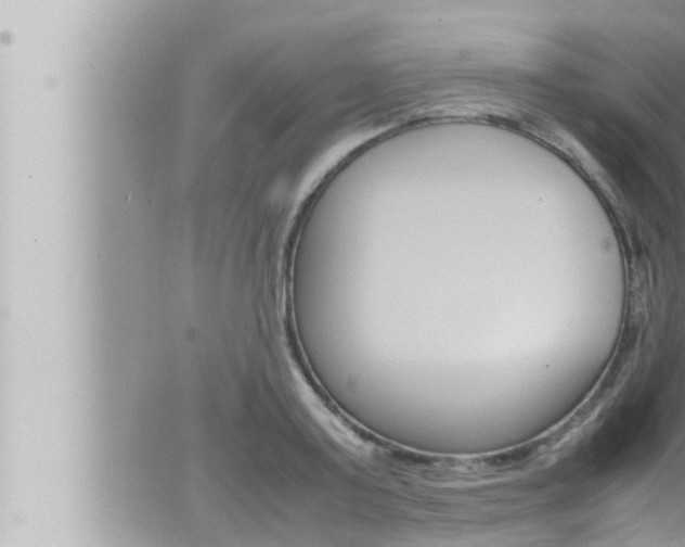 X0000066520795200603170949