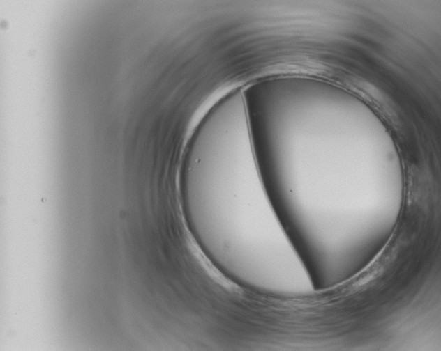 X0000066520796200603170949