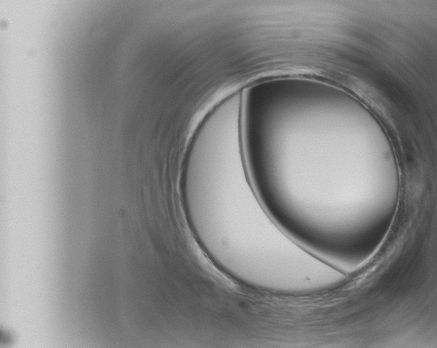 X0000066520797200603170949