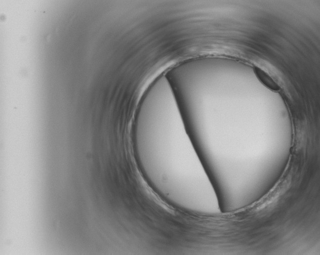 X0000066520798200603170949