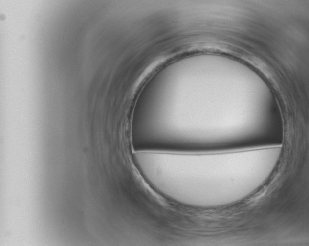 X0000066520799200603170949