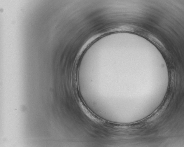 X0000066520800200603170949