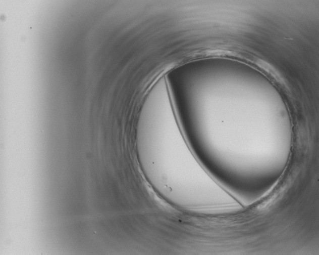 X0000066520801200603170949