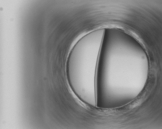 X0000066520803200603170949