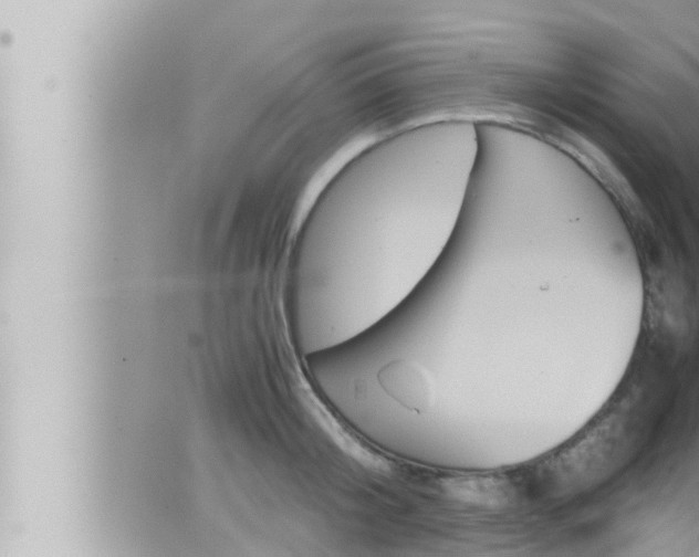 X0000066520804200603170949