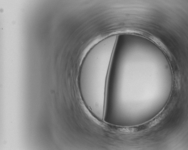 X0000066520805200603170949