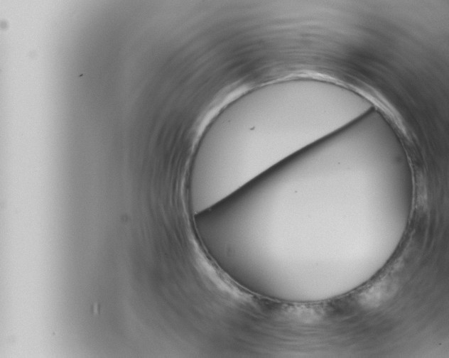 X0000066520806200603170949