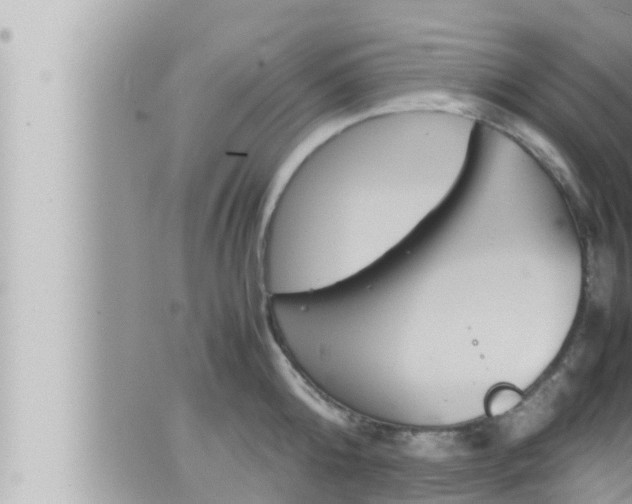 X0000066520808200603170949