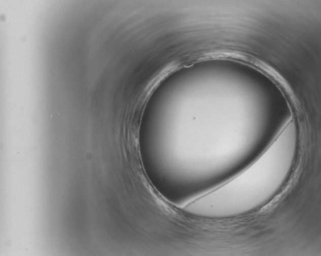 X0000066520809200603170949