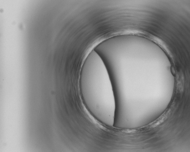 X0000066520810200603170948