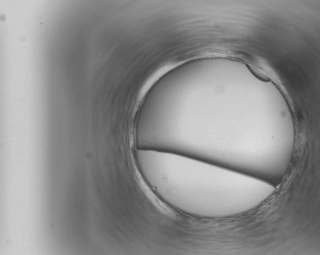 X0000066520811200603170948