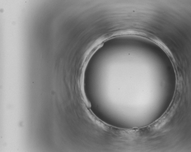 X0000066520813200603170948