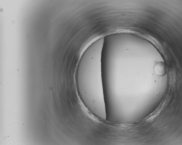 X0000066520814200603170948