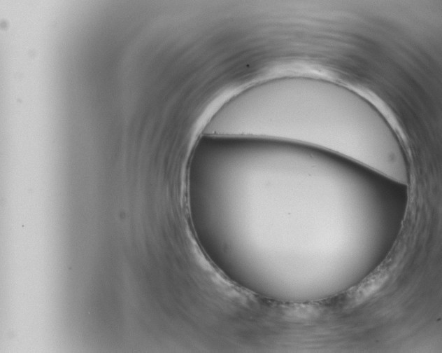 X0000066520815200603170948