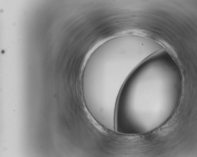 X0000066520816200603170948