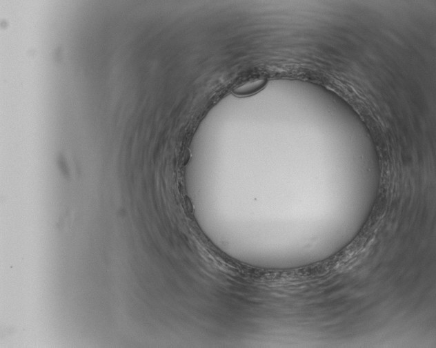 X0000066520817200603170948