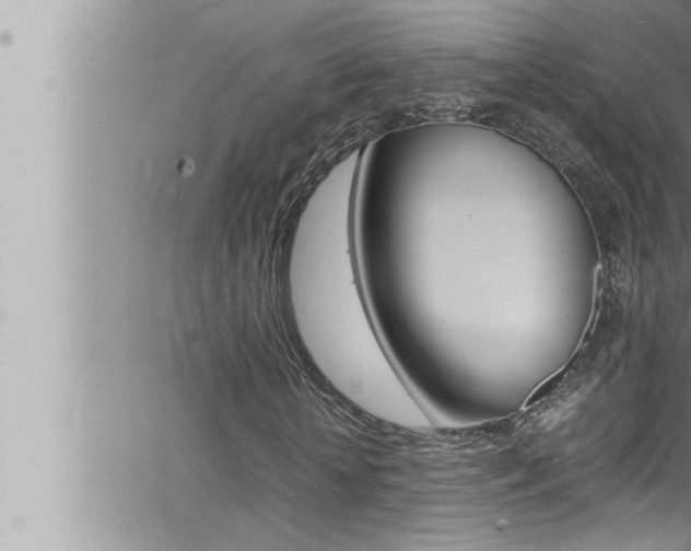 X0000066520818200603170948