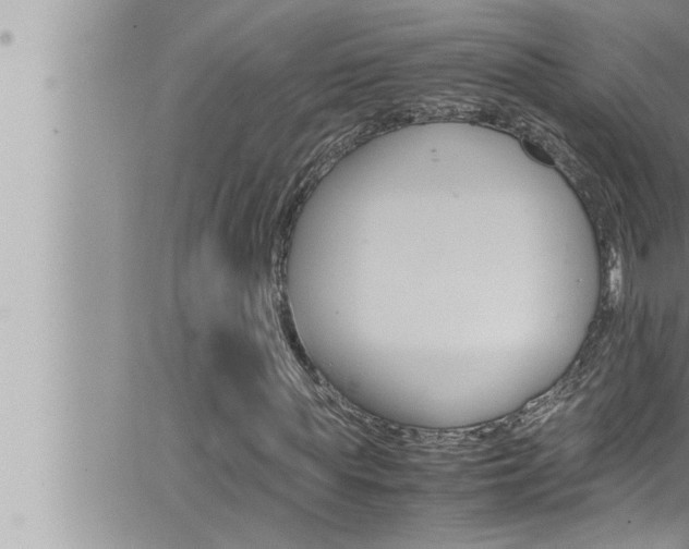 X0000066520819200603170948