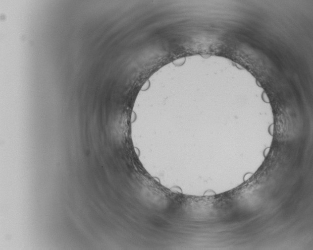 X0000066520820200603170948