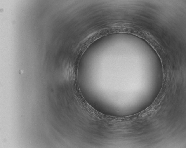 X0000066520821200603170948