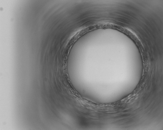 X0000066520823200603170948