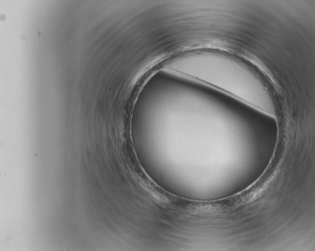 X0000066520826200603170948