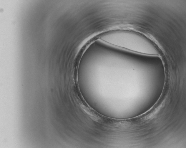 X0000066520830200603170948