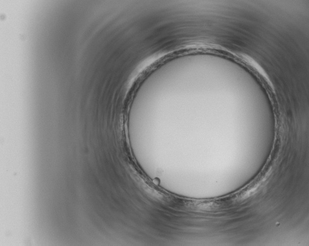 X0000066520831200603170948