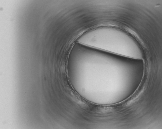 X0000066520833200603170948