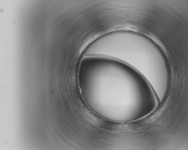 X0000066520834200603170948