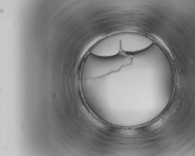 X0000066520835200603170948