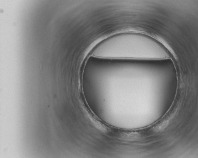 X0000066520837200603170948