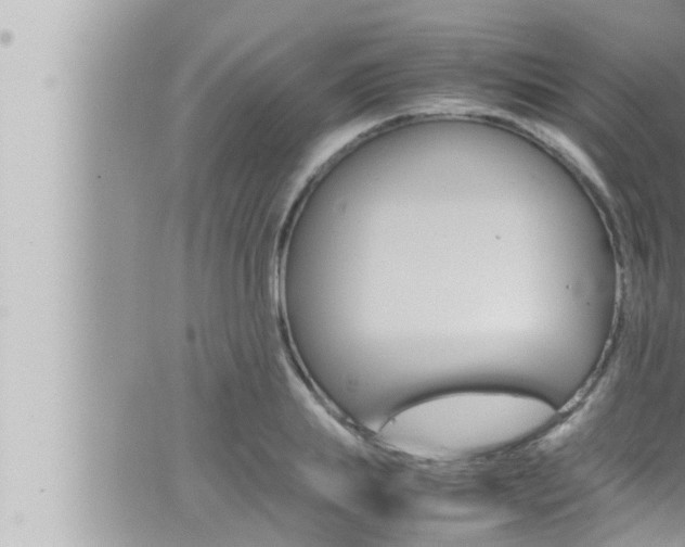 X0000066520839200603170948