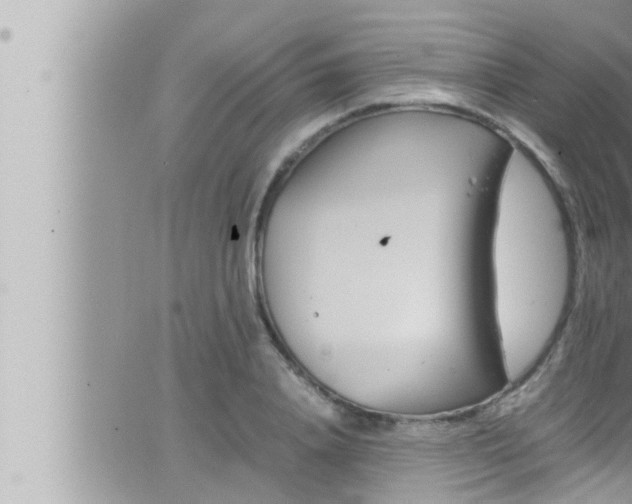 X0000066520840200603170948