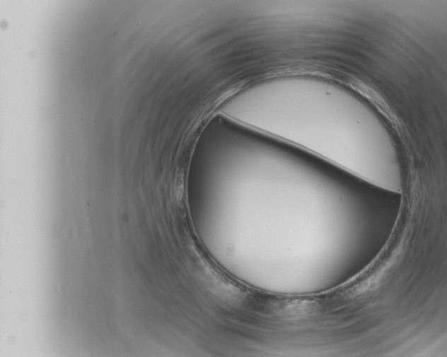 X0000066520841200603170948