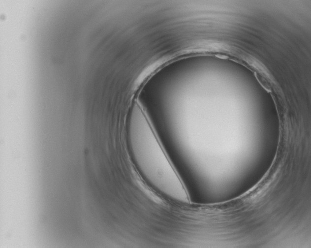 X0000066520842200603170948