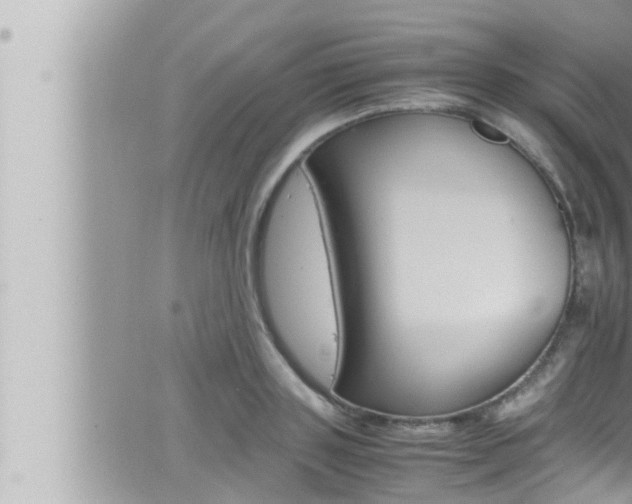 X0000066520843200603170948