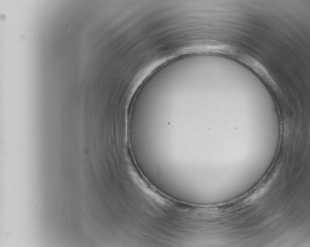 X0000066520844200603170948