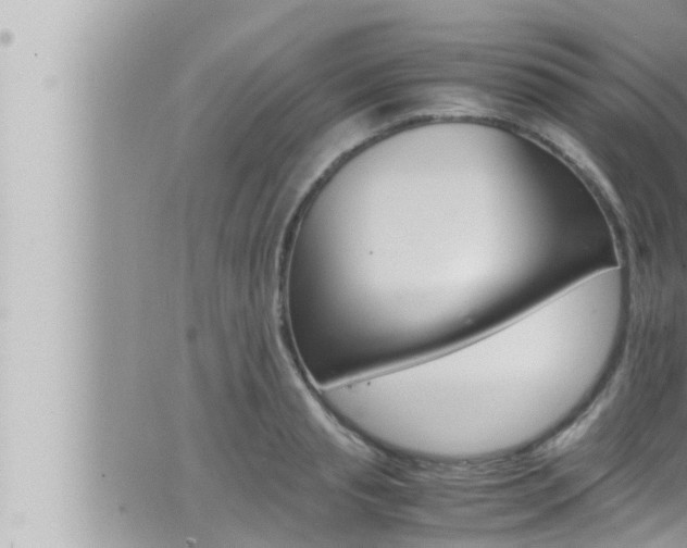 X0000066520845200603170948