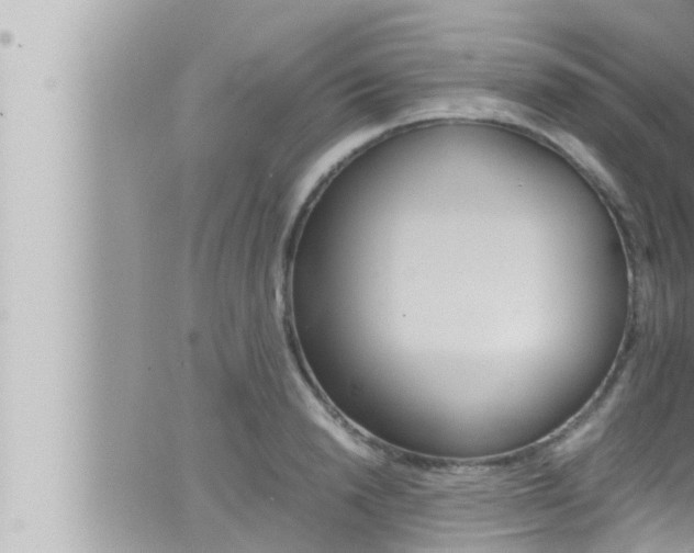 X0000066520846200603170948